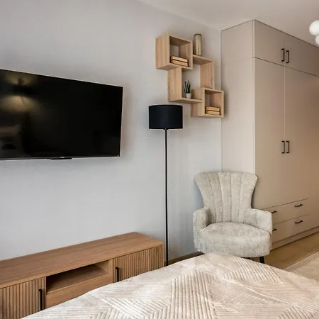 Apartament Iron By Mb