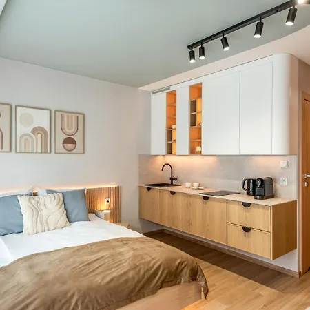 Apartament Iron By Mb *